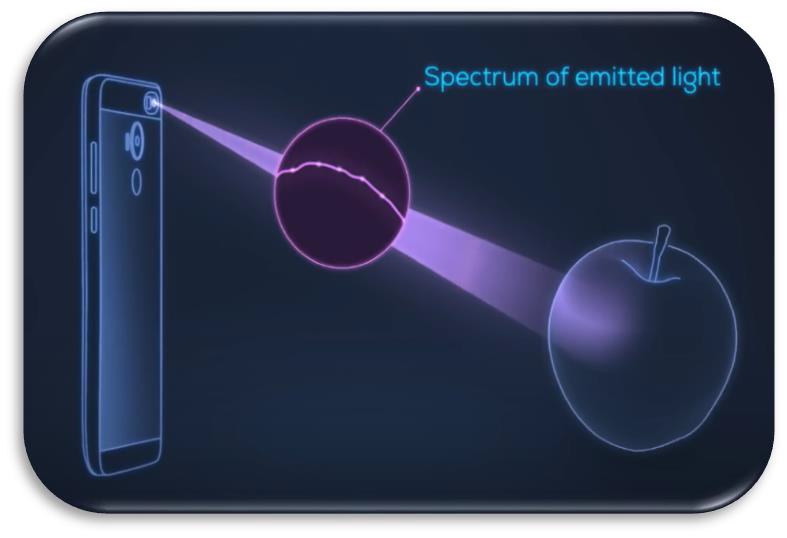 Fat and protein scan